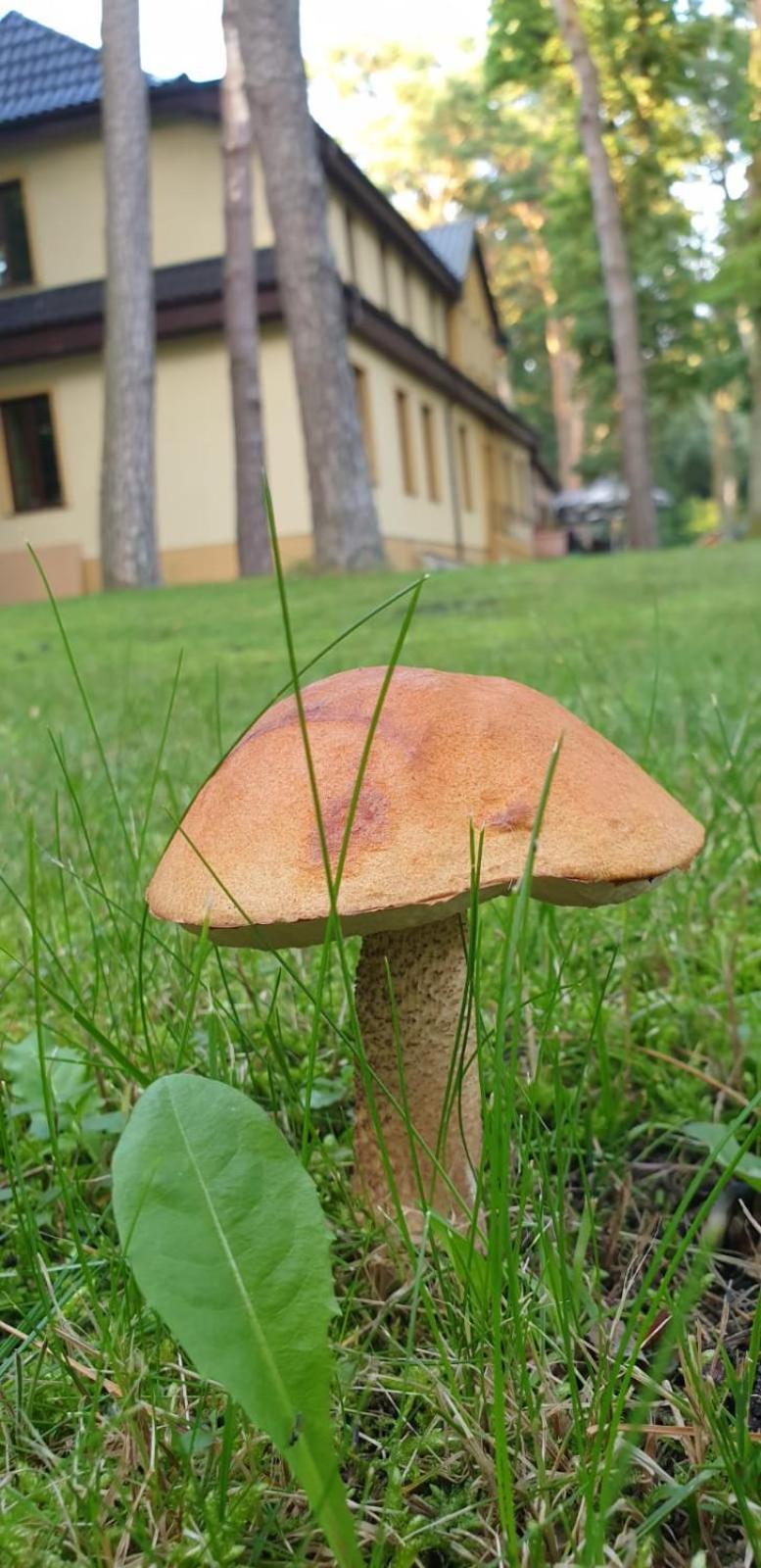 Toscana Camp Погожеліца Екстер'єр фото