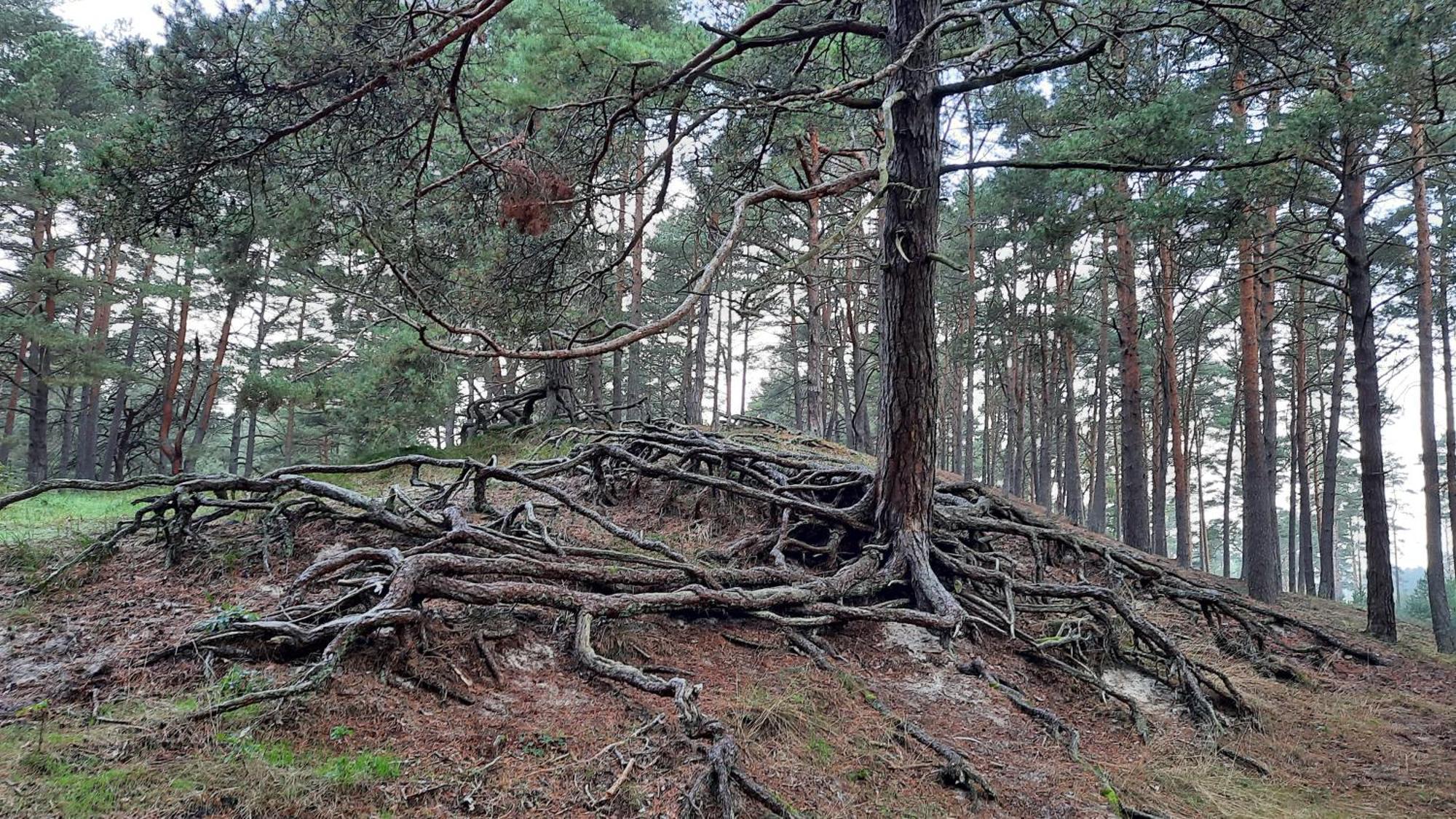 Toscana Camp Погожеліца Екстер'єр фото